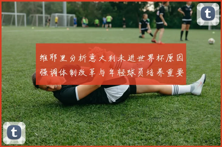 维耶里分析意大利未进世界杯原因强调体制改革与年轻球员培养重要性