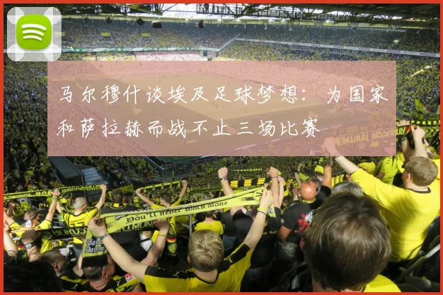 马尔穆什谈埃及足球梦想：为国家和萨拉赫而战不止三场比赛
